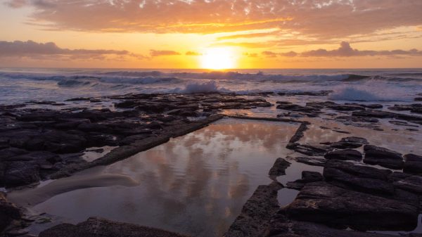 breathtaking aerial drone shot of the Shelly Beach rockpool at sunrise. Captures the wildness of the ocean and the calmness of the rockpool.
