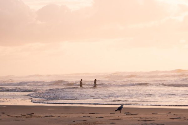 Serene image captures two people walking into the ocean during sunrise at Shelly Beach, East Ballina.