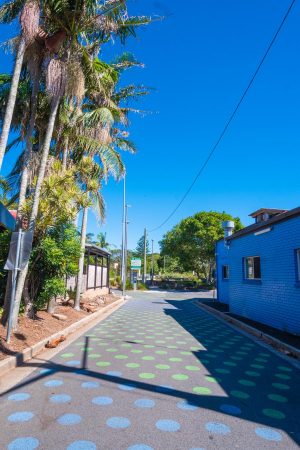 Download this stock image of the beautiful palm tree-lined road that connects Byron Bay town centre to the car park showcasing Byron Bay's charm.