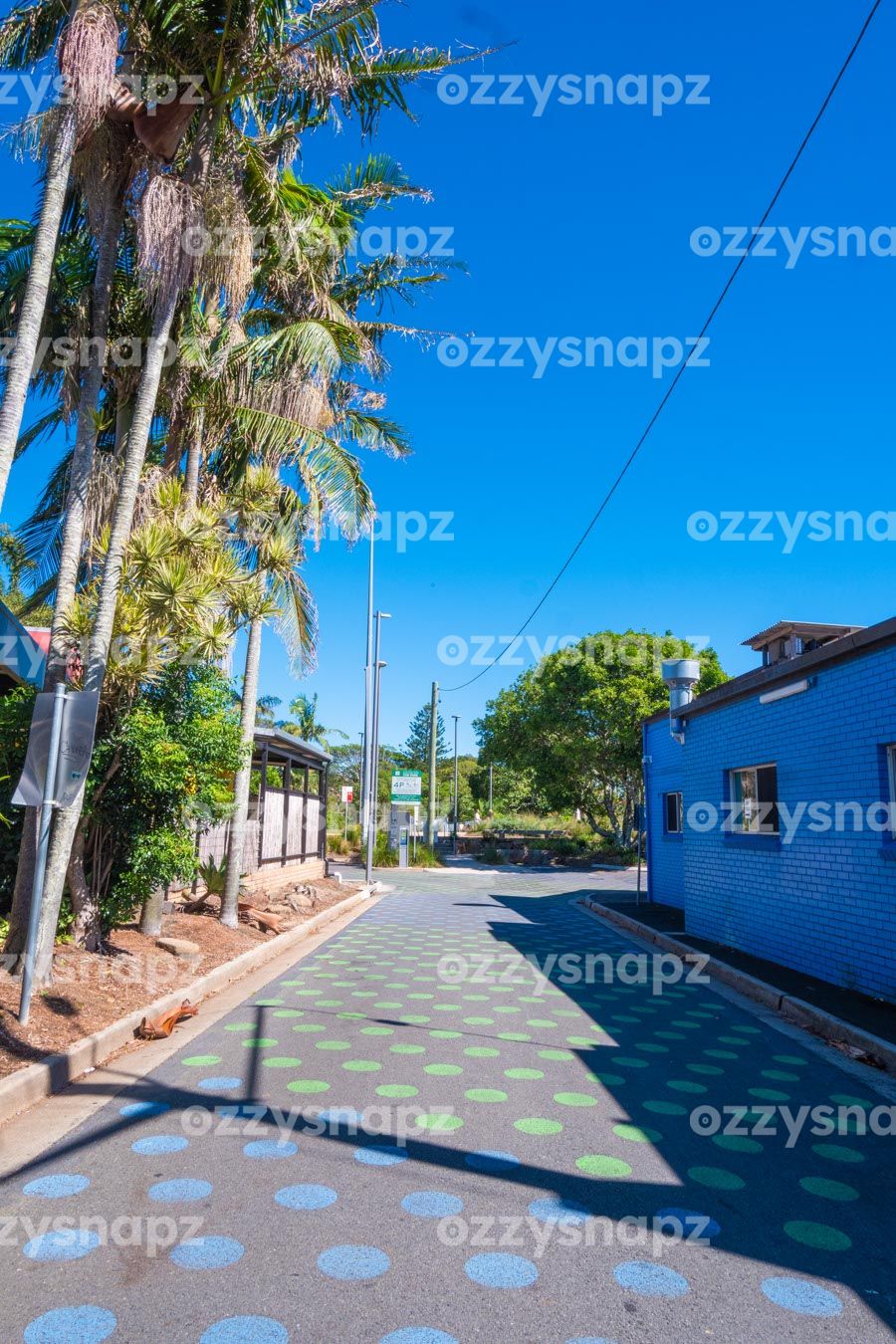 ozzysnapz_221397_low Download this stock image of the beautiful palm tree-lined road that connects Byron Bay town centre to the car park showcasing Byron Bay's charm.