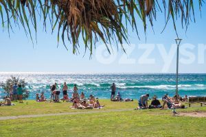Download this stunning stock image of Byron Bay's bustling Apex Park with an ocean view. Perfect for travel, lifestyle, or social media content.