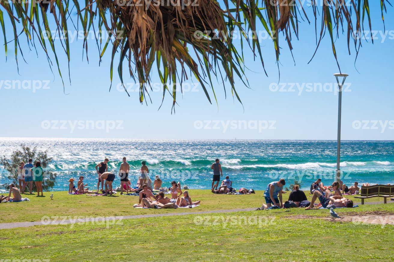 ozzysnapz_221409_low Download this stunning stock image of Byron Bay's bustling Apex Park with an ocean view. Perfect for travel, lifestyle, or social media content.