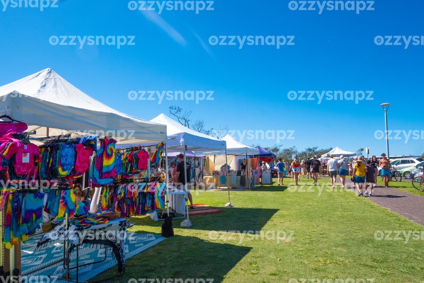 ozzysnapz_221416_low