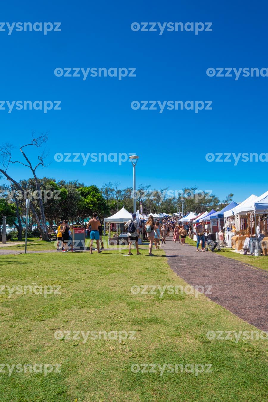 ozzysnapz_221419_low