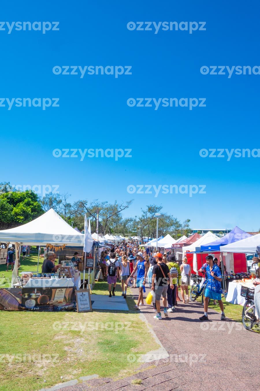 ozzysnapz_221421_low