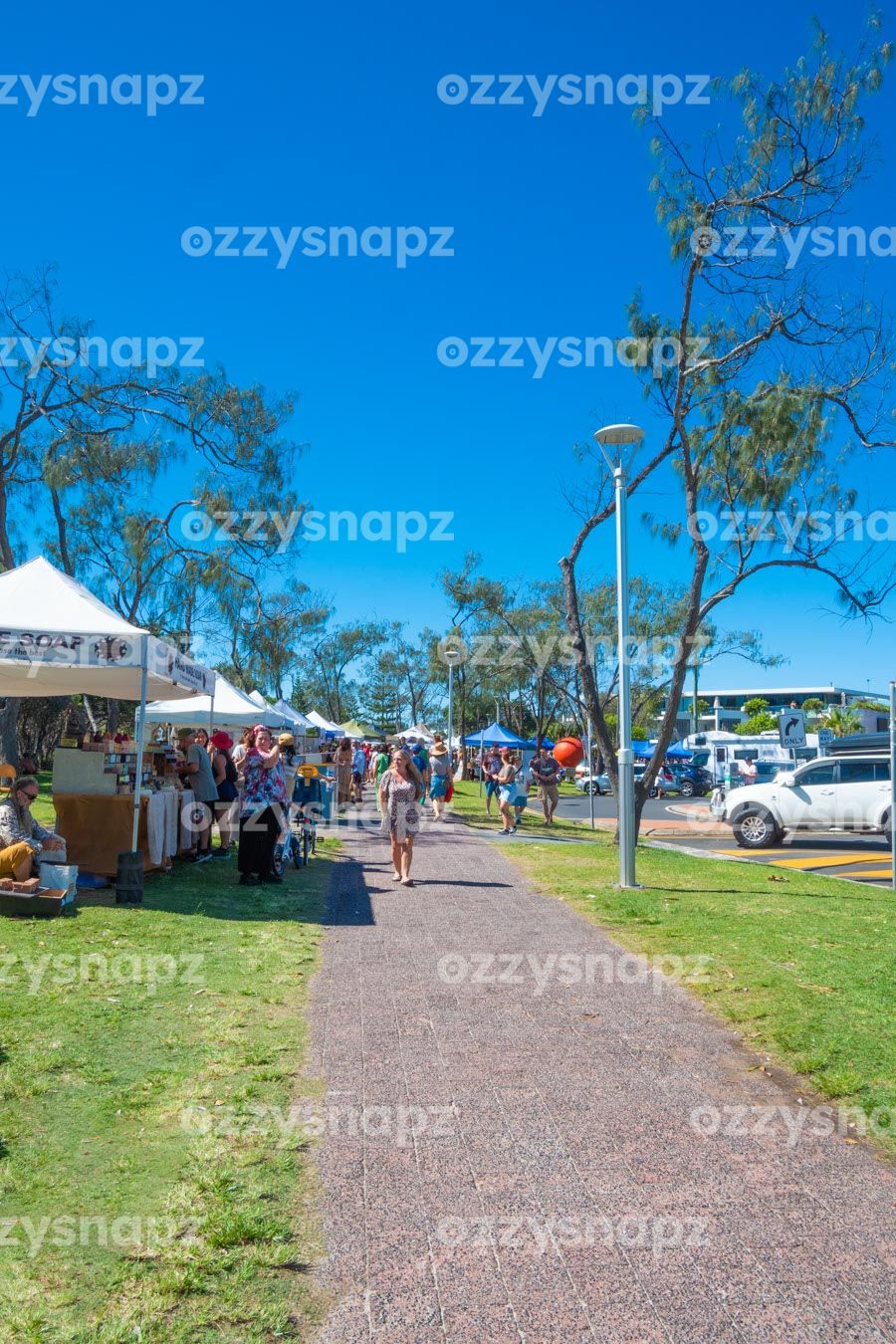 ozzysnapz_221423_low
